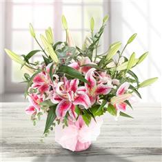 Pink Lilies